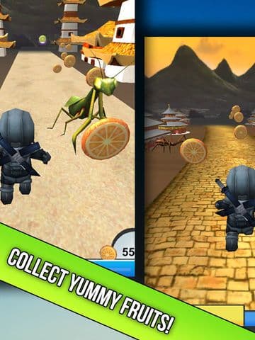 Ninja Run - Dash And Jump For Fruit - Watch Out For Deadly Insects!