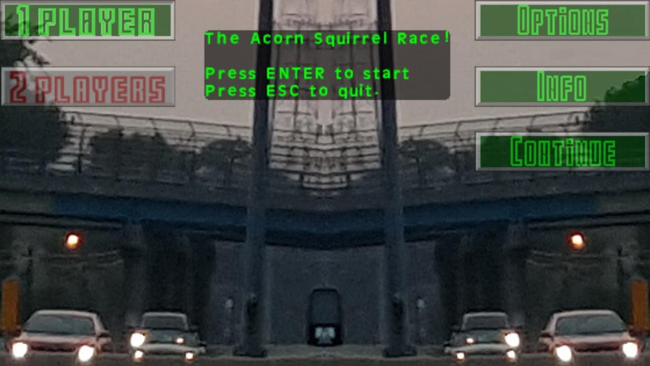 Acorn Squirrel Race screenshot 2