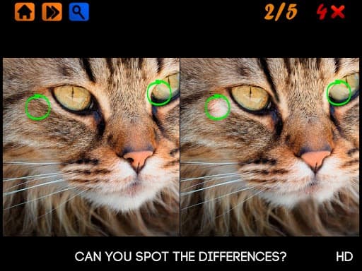 Spot the Differences 100 levels Hard screenshot 6
