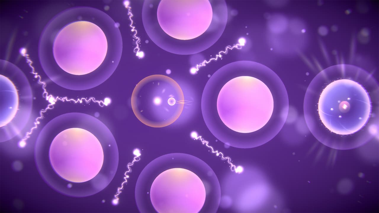 Gravitum (POLE 3D) screenshot 5