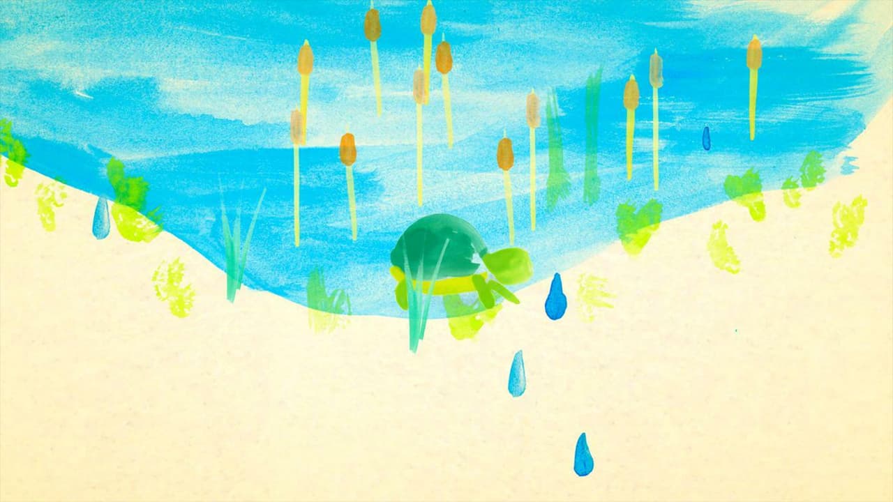 The Little Turtle screenshot 3