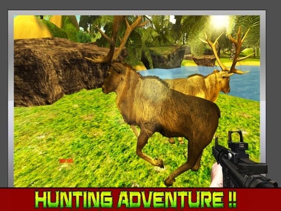 Big Deer hunter Wild hunting