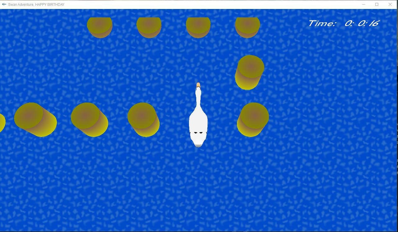 Swan Adventure