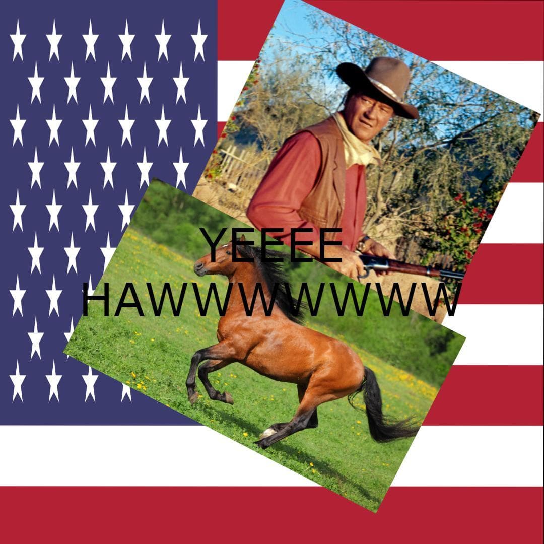 American Simulator (made by an american)
