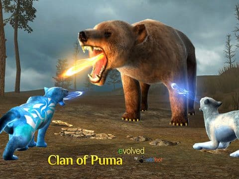 Clan Of Puma