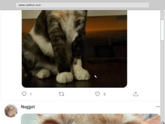 CatBlocker Plus screenshot 2