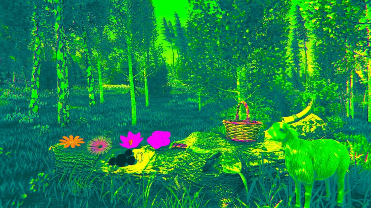 Flower Challenge