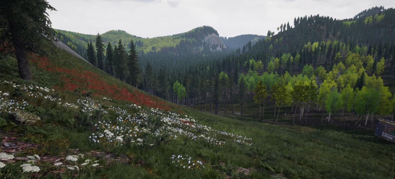 Corma screenshot 4