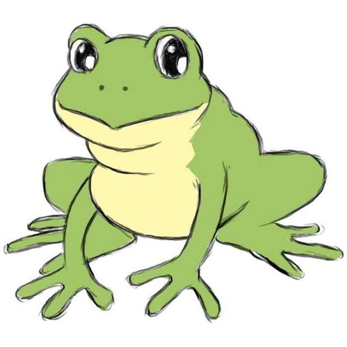 Sapo