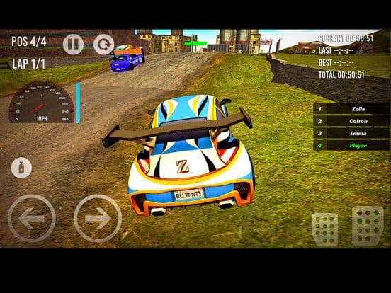 Rally Driver Race screenshot 4