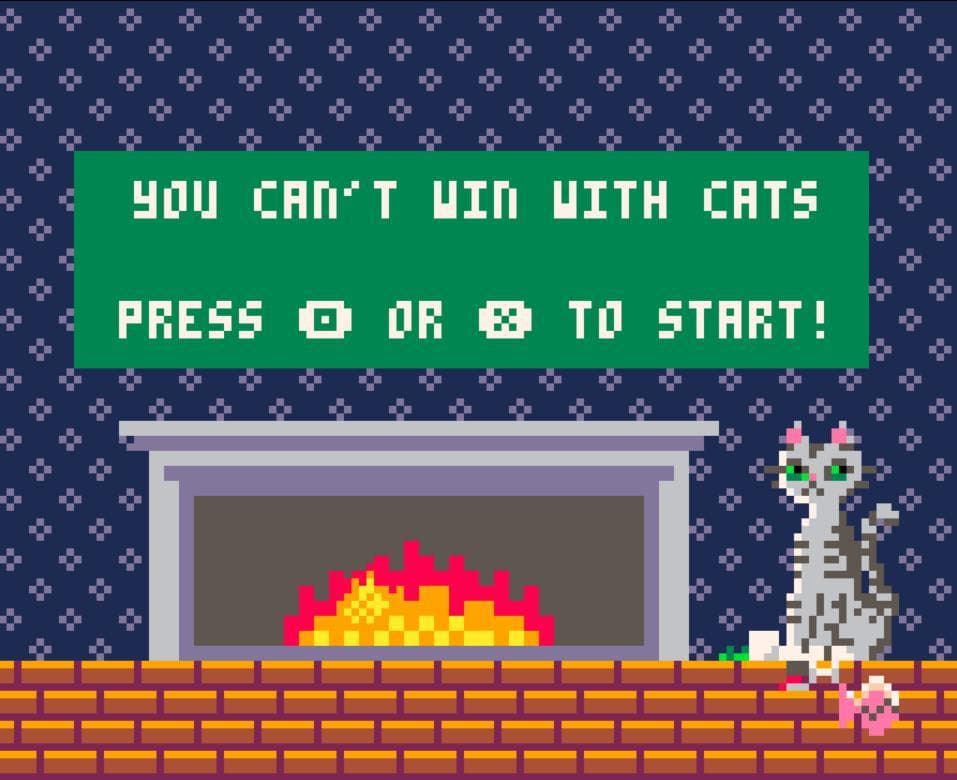 You Cant Win With Cats screenshot 3