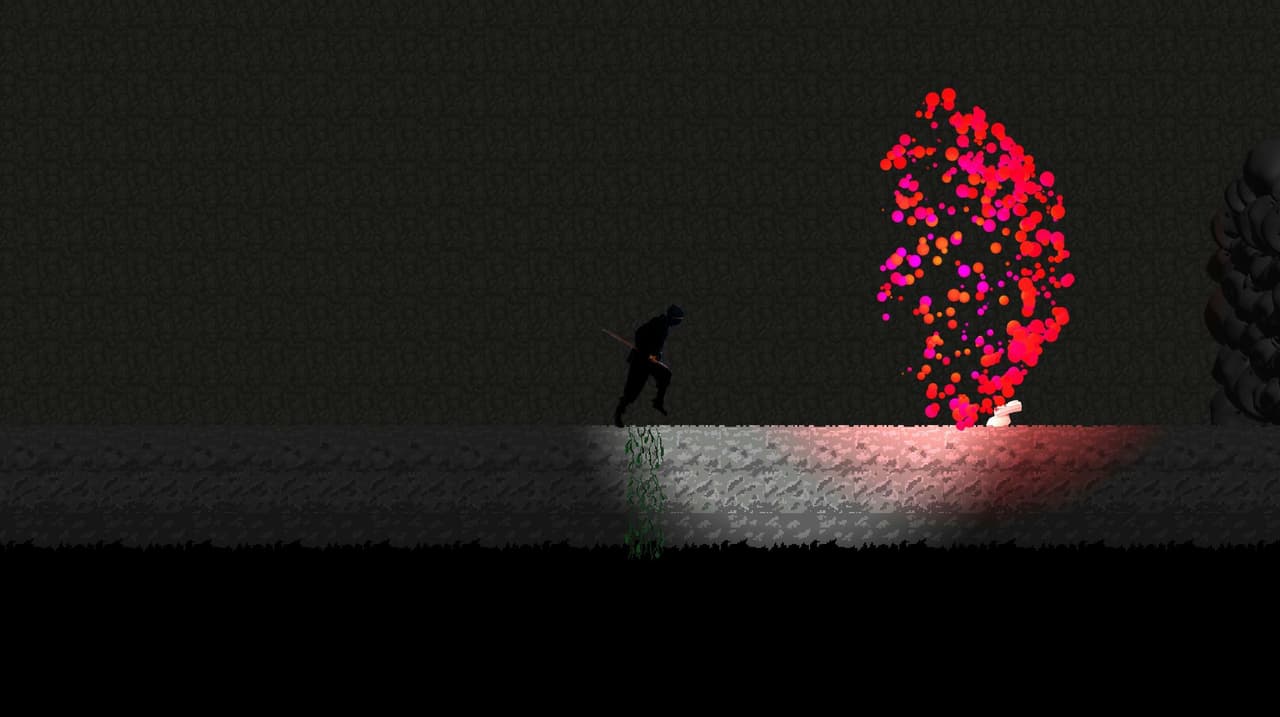 A ninja in time