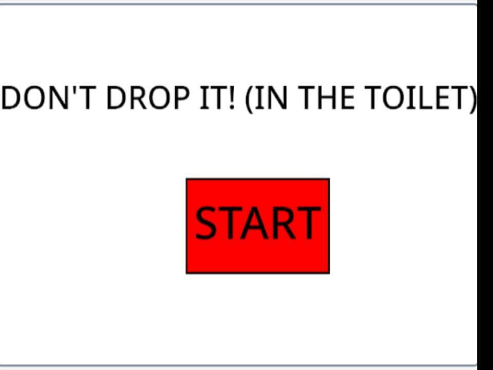 DONT DROP IT! (IN THE TOILET)