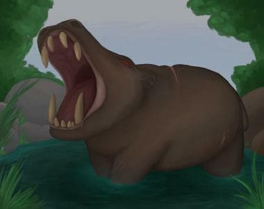 Violent Hippo Gone Wild