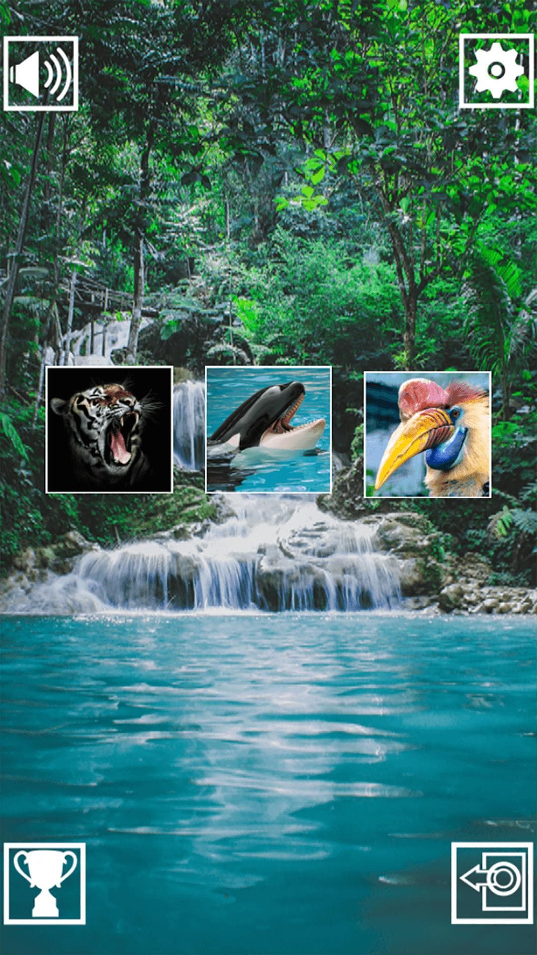 Memory Match Jungle Animals screenshot 2