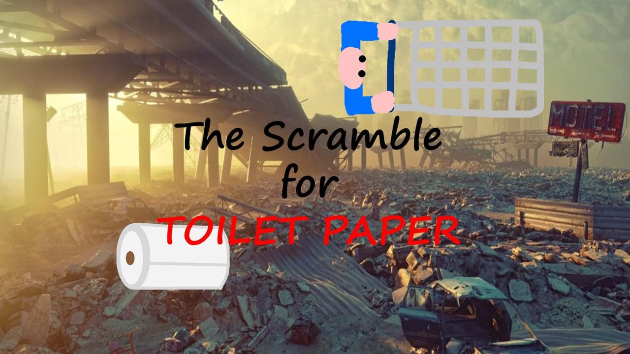 The Scramble for Toilet Paper