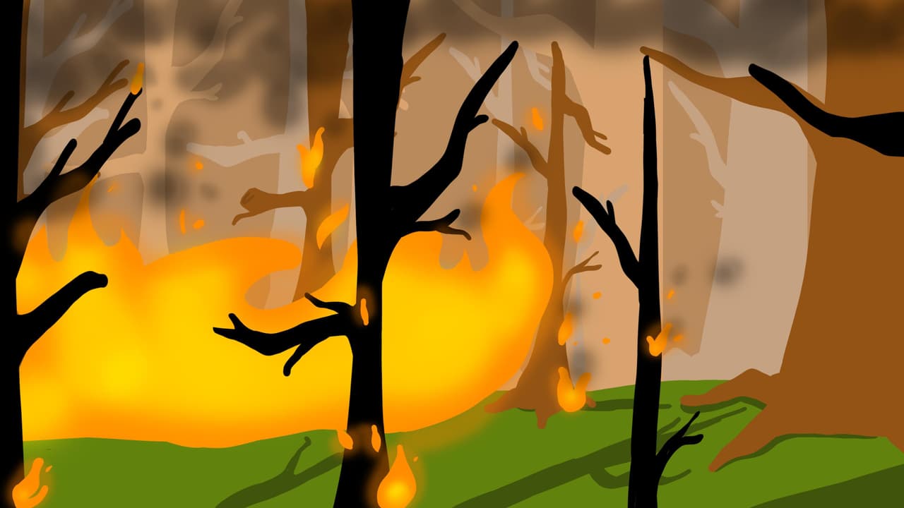 Forest of Embers