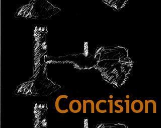 Concision