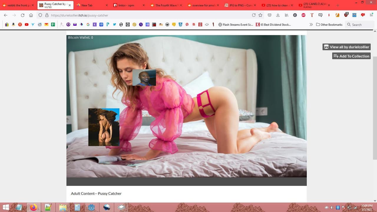Pussy Catcher