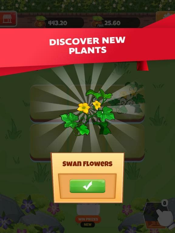 Orchid Growth screenshot 4