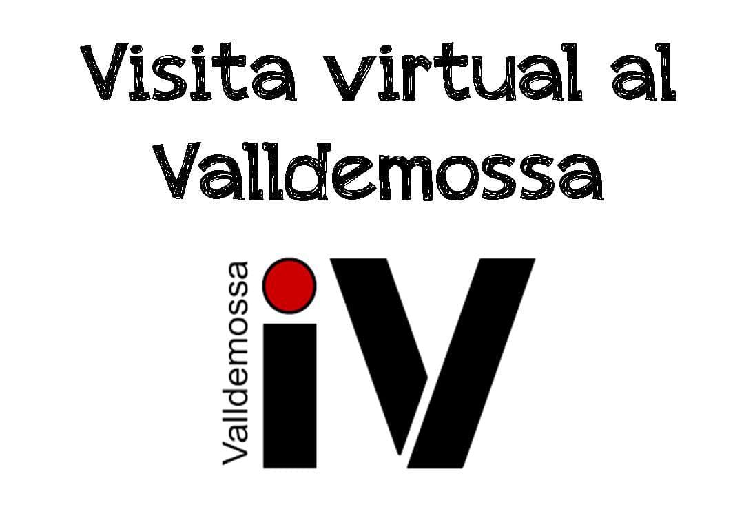 Visita Virtual al INS Valldemossa