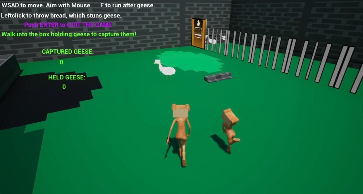 Nottingham Goose Catcher Prototype screenshot 4