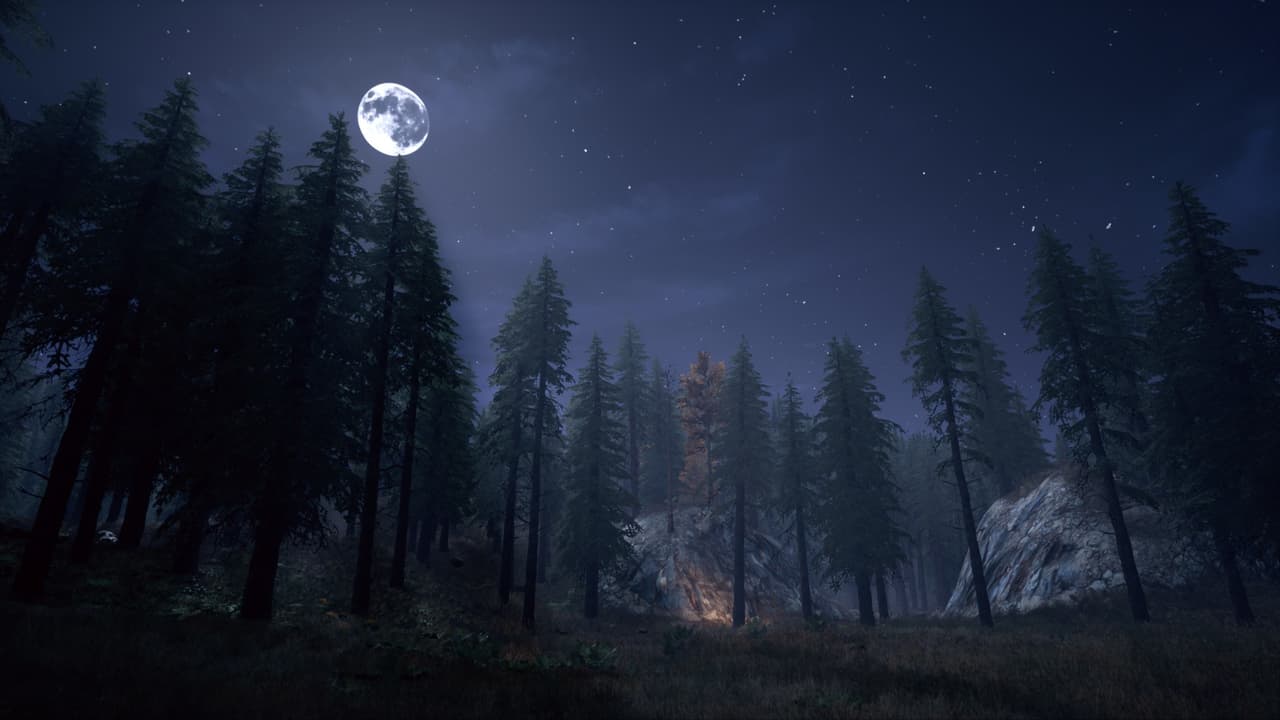 Nightwalker screenshot 4