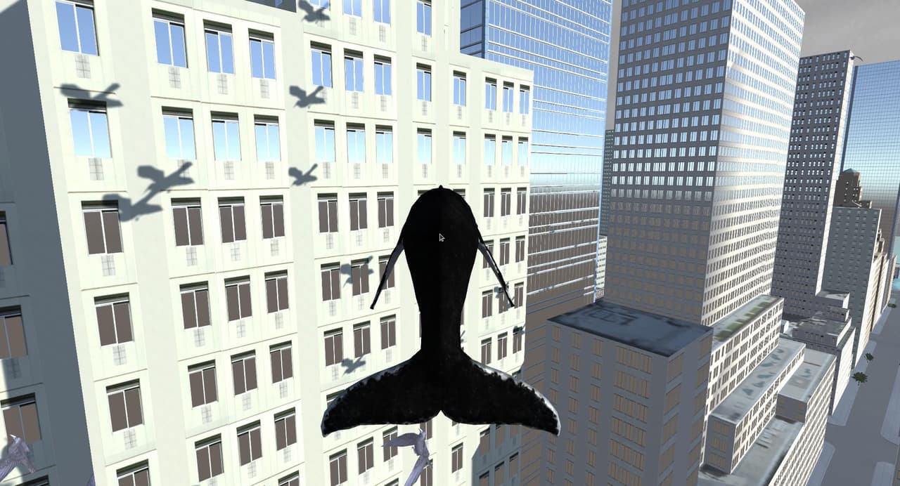 W_hale.gif screenshot 5