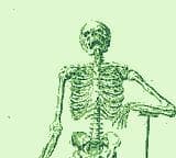 SKELETON GOES TO WALMART THE UNPARALLELED CINEMATIC EXPERIENCE screenshot 5