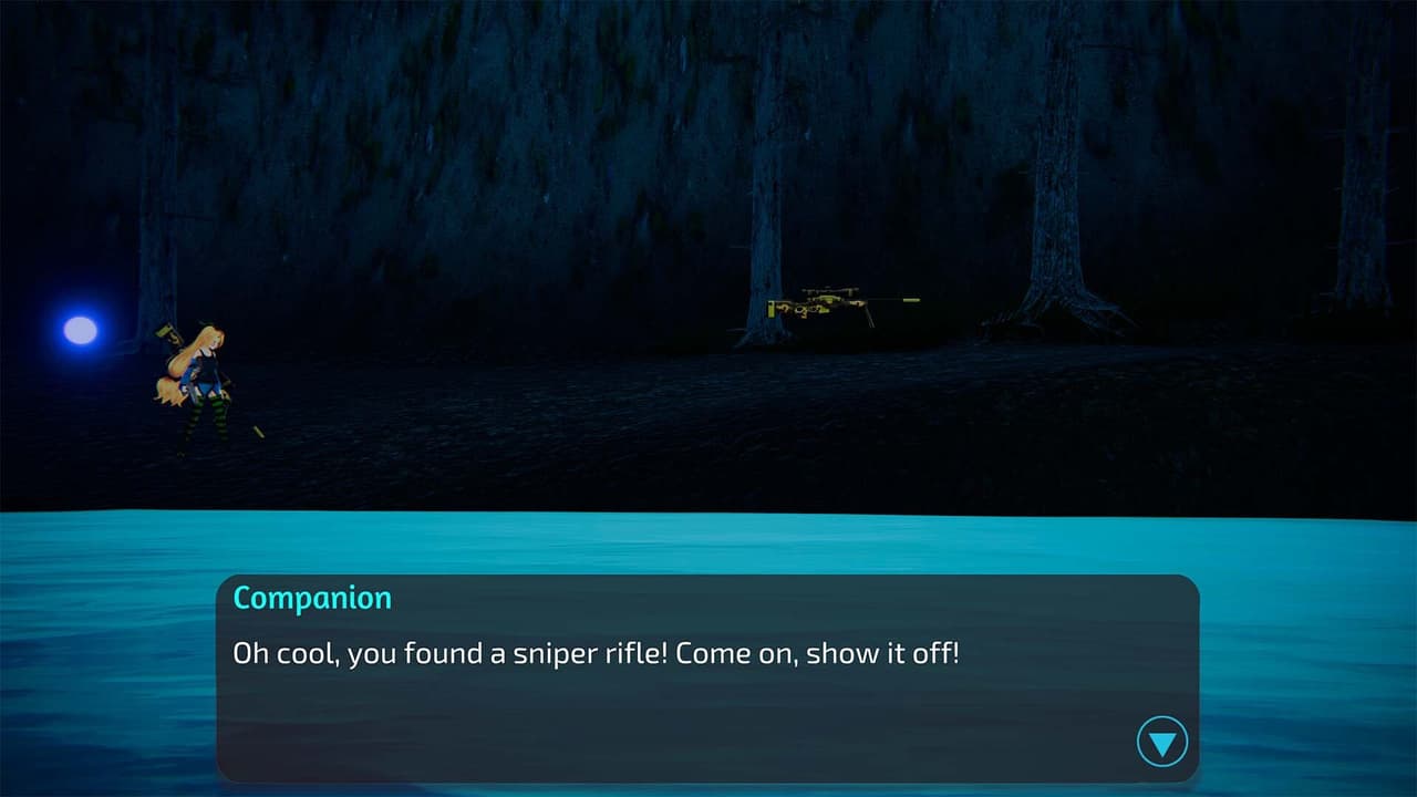 Protags Quest For The Missing CSC