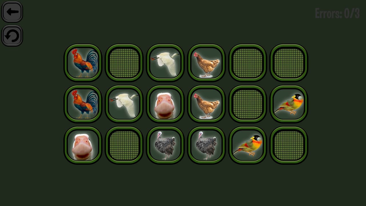 Animals Memory: Birds