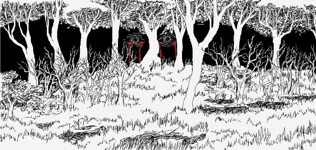 Eyes Of The Forest