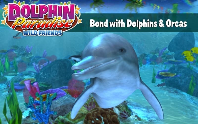 Dolphin Paradise screenshot 2