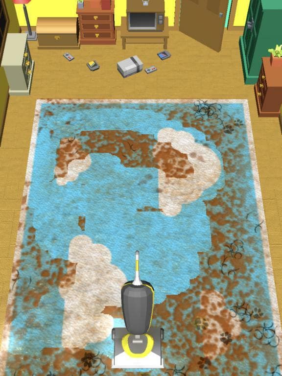 Carpet Cleaner!