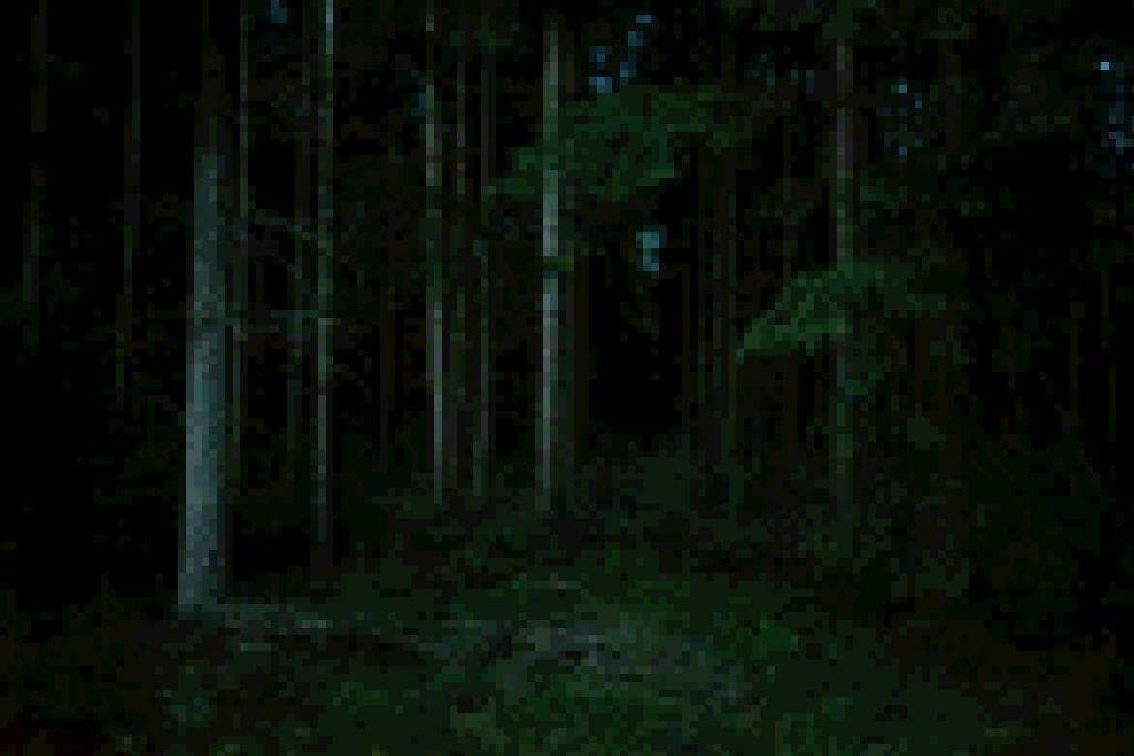 Deeper In The Woods