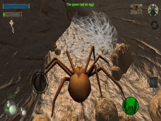 Spider Colony Simulator
