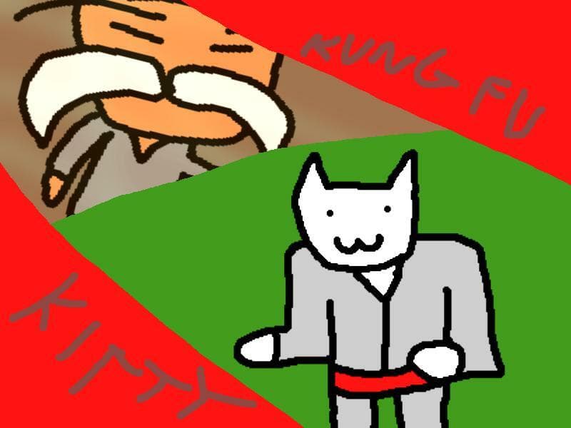 Kung Fu Kittys Defence Training