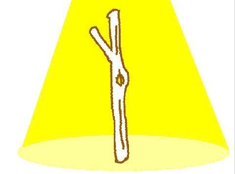 Dancing Stick