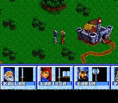 Dungeons & Dragons: Order of the Griffon screenshot 3