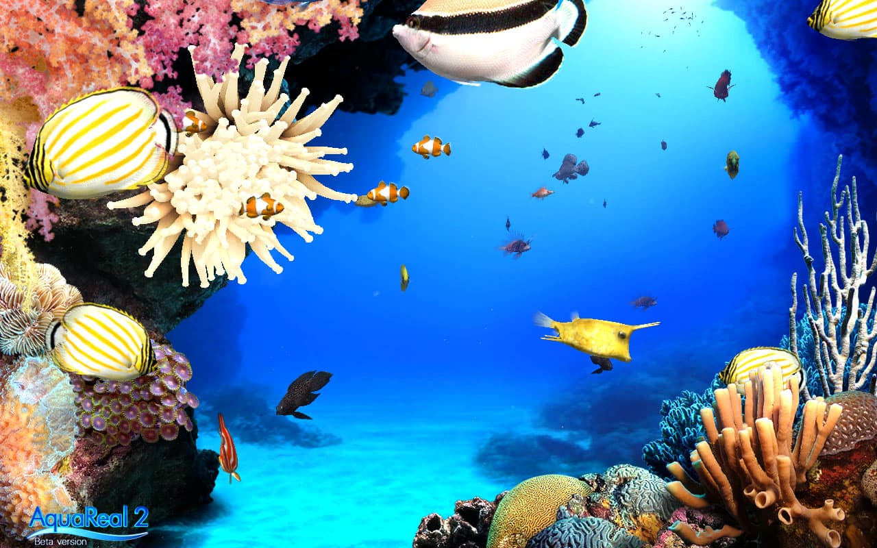 DigiFish Aqua Real 2 screenshot 5