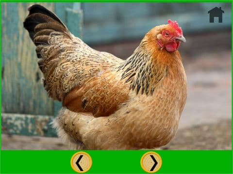 kids farm animals lovers - free