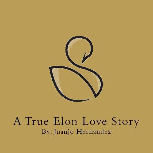 A True Elon Love Story