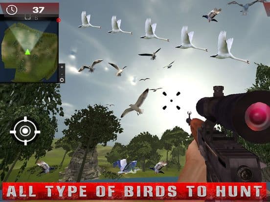 Birds Hunting - Clay Hunt Pro screenshot 5
