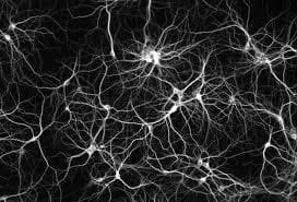 INSIDE MIND