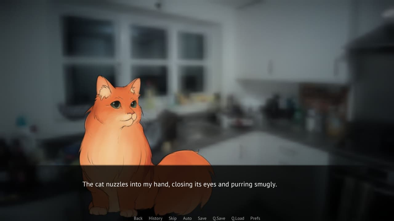 The Remains of My Affection screenshot 2