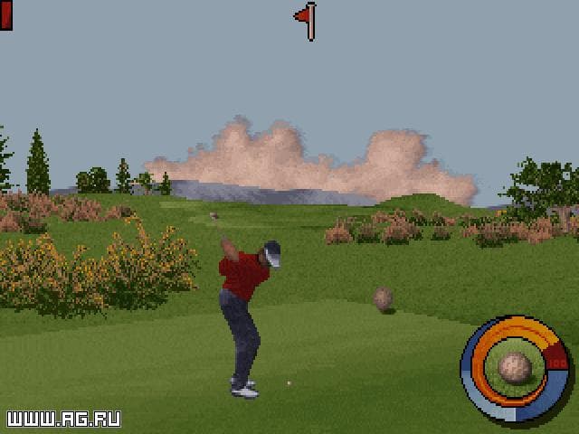 Hole in One
