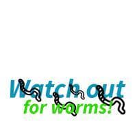 Watch out for worms!