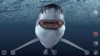 Talking Great White: My Pet Shark PRO screenshot 4