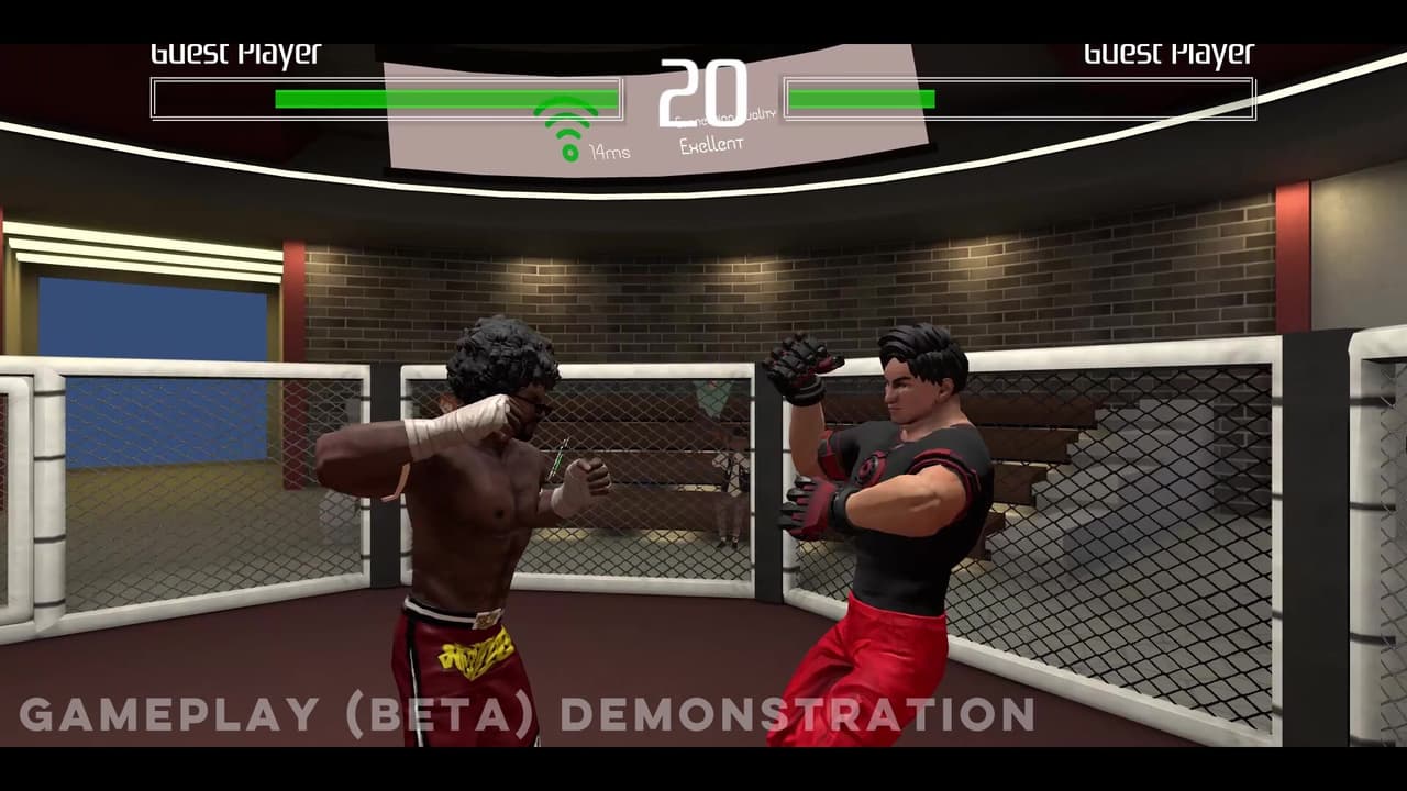 Virtual Fighting Championship screenshot 4