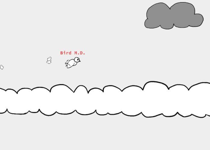 Bird Chat